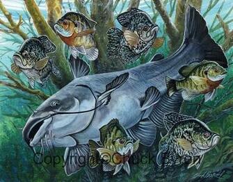 Catfish Habitat Google Search Fishing In Blue