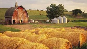 Farm Background And Wallpaper Image