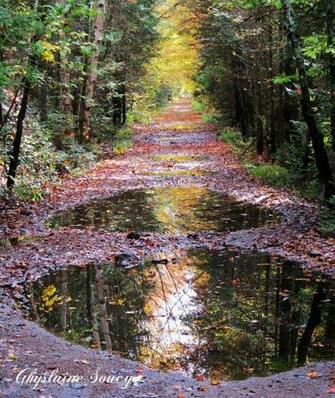 Wallpaper Photo Autumn Html