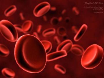 Cardiology Wallpaper For Your Desktop