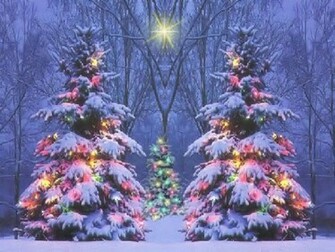 Christmas Scene