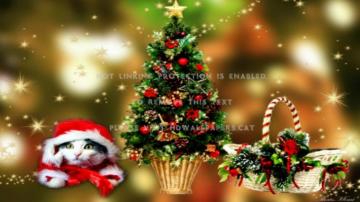 Christmas Spirit Happy Holidays Merry