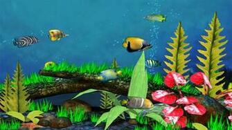 3d Fish Wallpaper HD In Animals Imageci