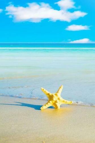 Maldives Summer Beach iPhone HD Wallpaper