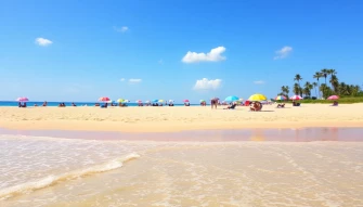 Summer Beach Sand Wallpaper