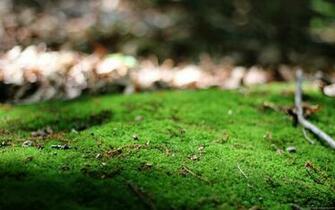 Samsung Galaxy Note Wallpaper Background Photos