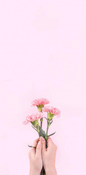 Aesthetic Baby Pink Wallpaper