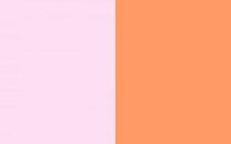 Resolution Pink Lace And Orange Solid Two Color