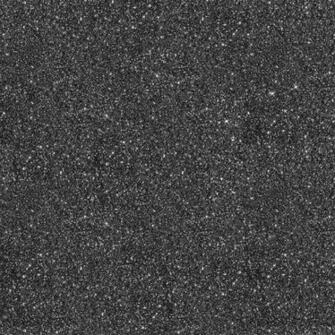 Love Wallpaper Glamour Real Glitter Bug Black Glitz