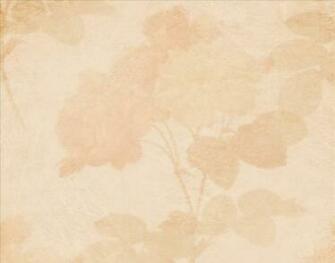 Peach Background Ing Gallery