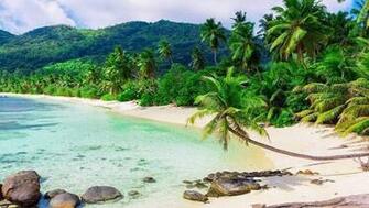Tropical Lagoon HD Wallpaper Happy Christmas