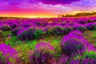 Beautiful Spring Landscape Widescreen Wallpaper