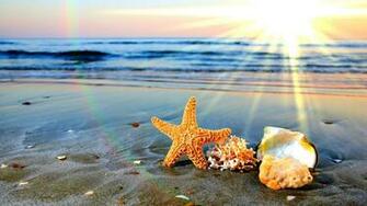 Summertime Background Wallpaper HD Background Desktop