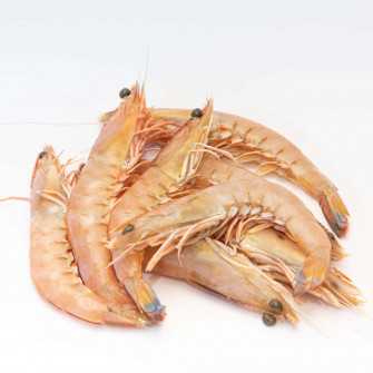 Fresh Prawns White Wallpaper