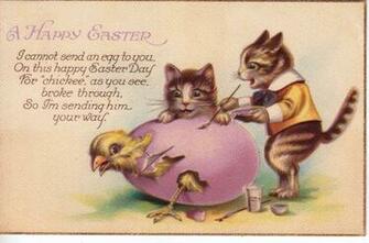 Am Not Sure What Interest These Kittens Have Lol