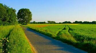 Summer Country Road Wallpaper