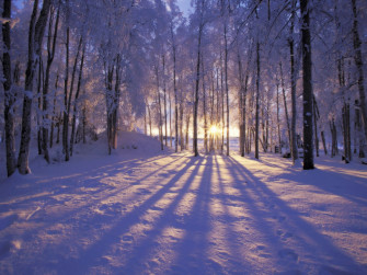 Winter Scene Desktop Background Wallpaper