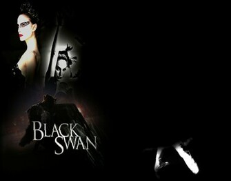Black Swan Wallpaper Photo