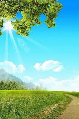 Harman In HD Nature Wallpaper Phone