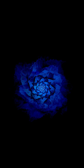 Amoled Flowers