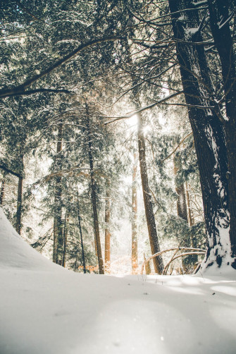 Winter Wallpaper HD Hq