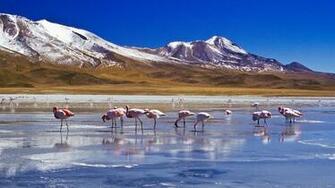 The Salar De Uyuni Salt Flats In Bolivia HD Wallpaper Background