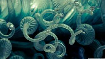 Chihuly Wallpaper