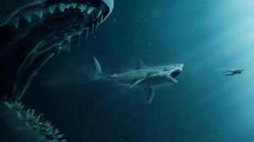 Shark 4k Wallpaper For Your Desktop Or Mobile Screen And