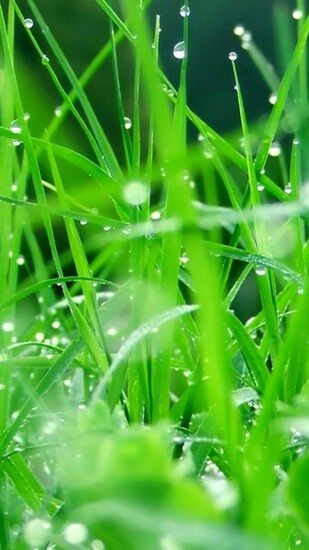 Samsung Galaxy S3 Wallpaper HD High Definition