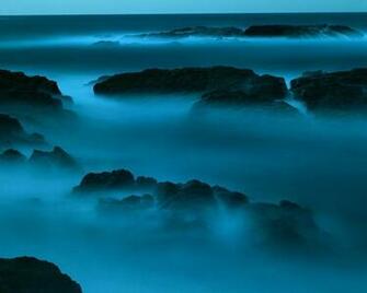 Serene Wallpaper