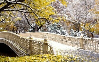HD Wallpaper High Definition Quality Desktop