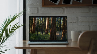 New Macos Sequoia Beta Has A Secret Serene Wallpaper That Ll Turn Your