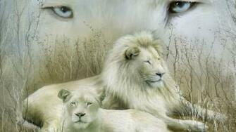 White Lion Wallpaper Desktop HD In Animals Imageci