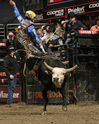Fotos Image Of Pbr Raza Cuernos Chuecos Wallpaper Picture