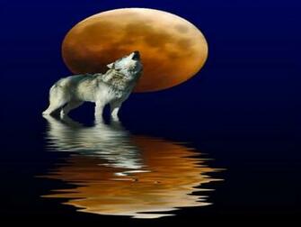 Wolf Moon Wallpaper HD In Animals Imageci