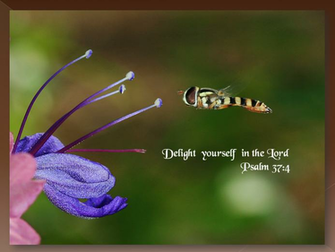 Jesus Christ Wallpaper Christian Photos Pictures