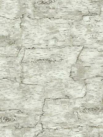 Burch Tree Wallpaper Walls