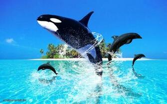 Oceanic