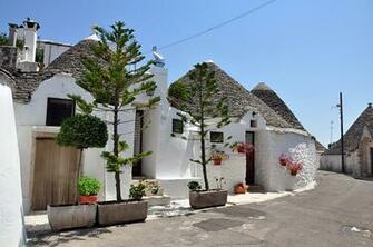 Image Italy Alberobello Trulli Street Trees Cities Houses