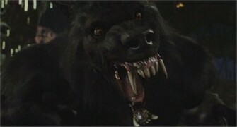 Van Helsing Werewolf Wallpaper HD Werwolf Two