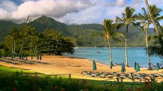 Hawaii Nature Background Beach Beaches Media Webshots Beautiful HD