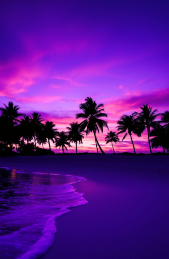 Purple Beach Wallpaper