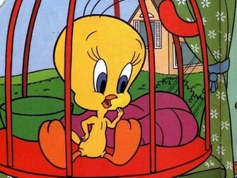 Tweety Bird Wallpaper