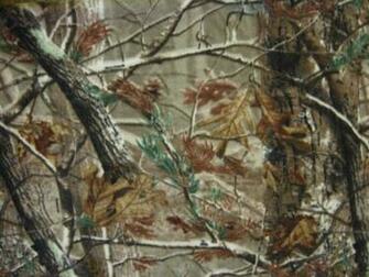 Realtree Ap HD Grey