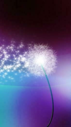 Make A Wish iPhone Background Background