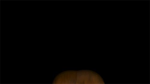 Search All The Gifs