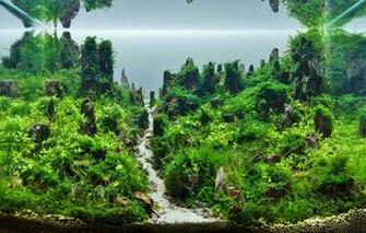 Kaela W2bjvog670 Aquascape Wallpaper