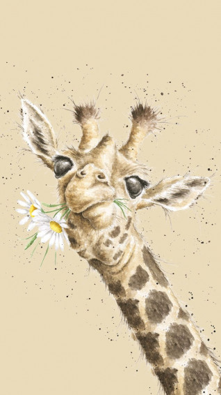Giraffe Phone Wallpaper Animal Art