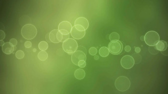 Soothing Light Green Background Wallpaper