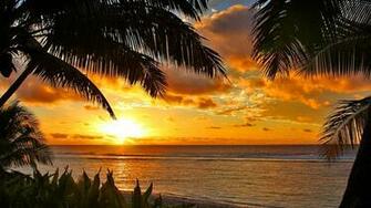 Tropical Sunset Computer Wallpaper Desktop Background